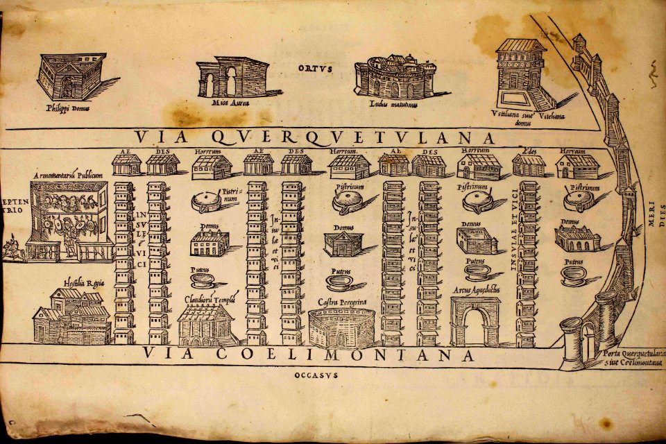 "Coelimontana seconda regio"