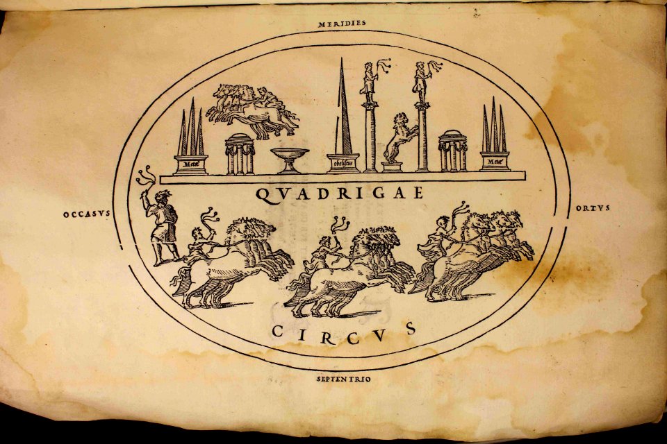 "Ovata forma circi"