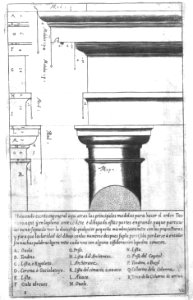 QArm135_0016