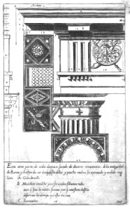 QArm135_0028