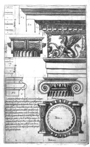QArm135_0038