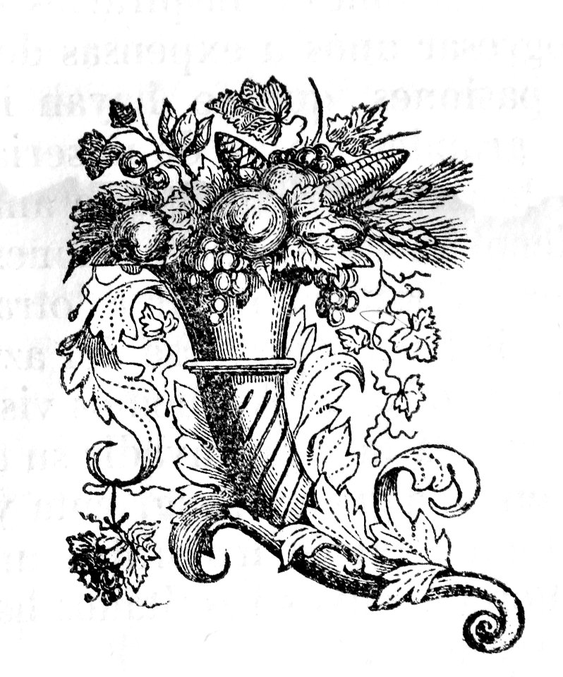 De la libertad del comercio / por José Joaquín de Mora, 18…