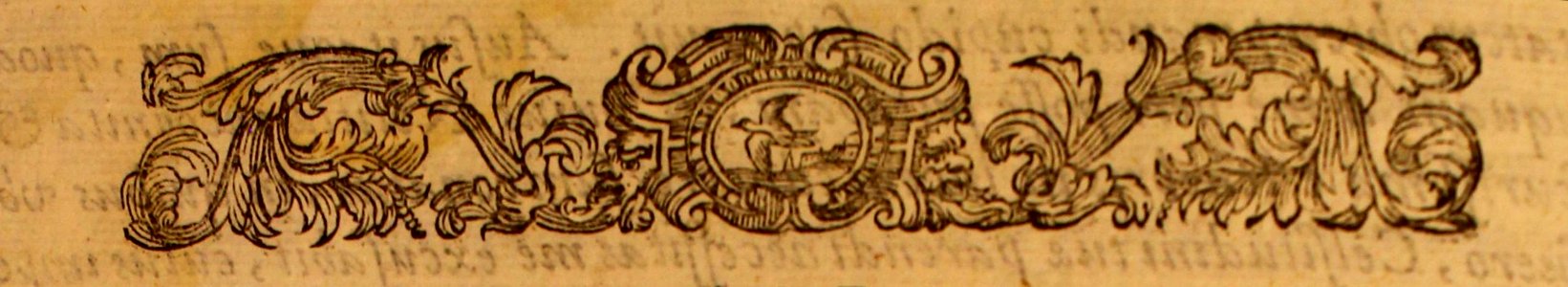 ARes74211_0011