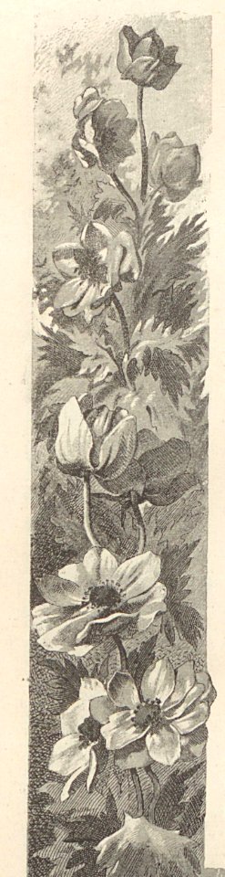 A044128_0043