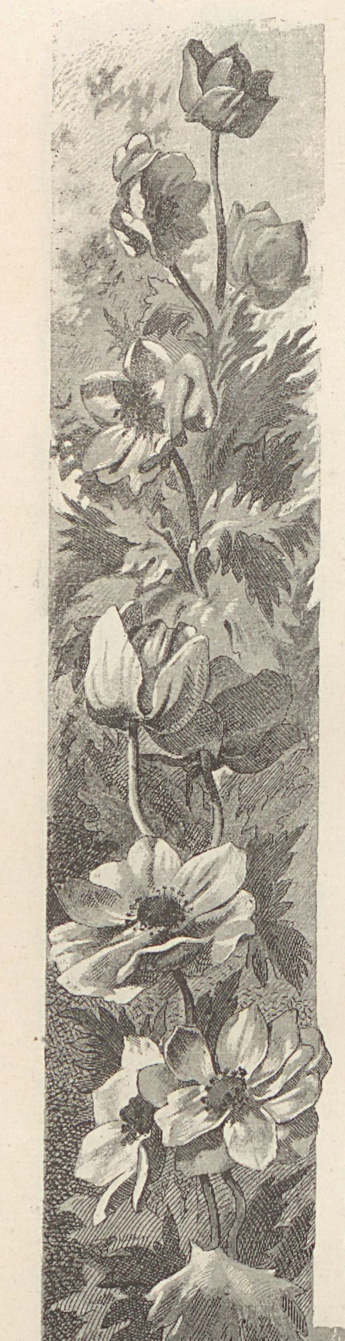 A044128_0043