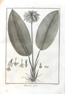 A064100_0100