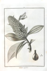 A064100_0098
