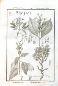 A064100_0106