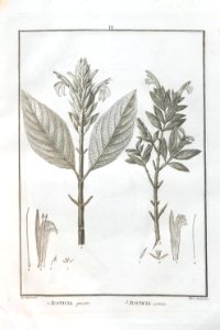 A064100_0108