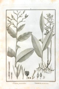 A064100_0092