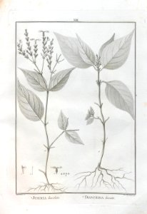 A064100_0116