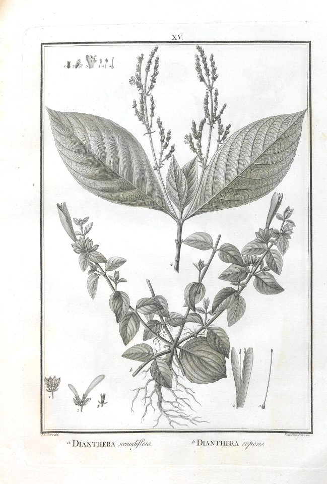 A064100_0120