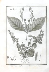 A064100_0120