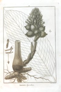 A064100_0094