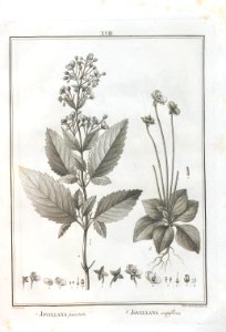 A064100_0126