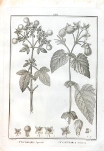 A064100_0134