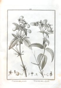 A064100_0128