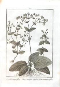 A064100_0130