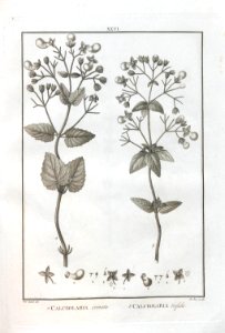 A064100_0142