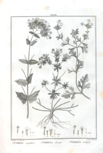 A064100_0156