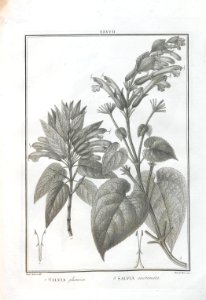A064100_0164