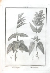 A064100_0166