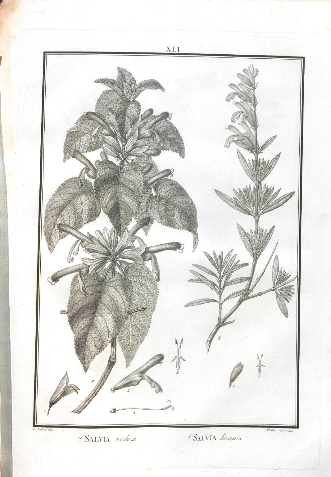 A064100_0172