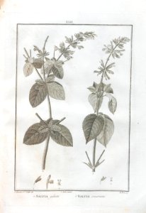 A064100_0174