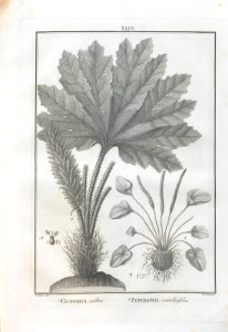 A064100_0178