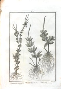 A064100_0182