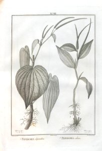 A064100_0186