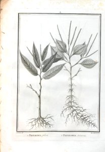 A064100_0190