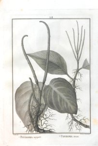 A064100_0194