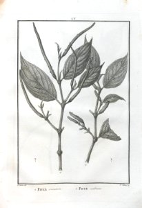 A064100_0200