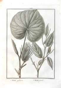 A064100_0208