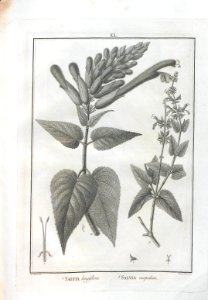 A064100_0170