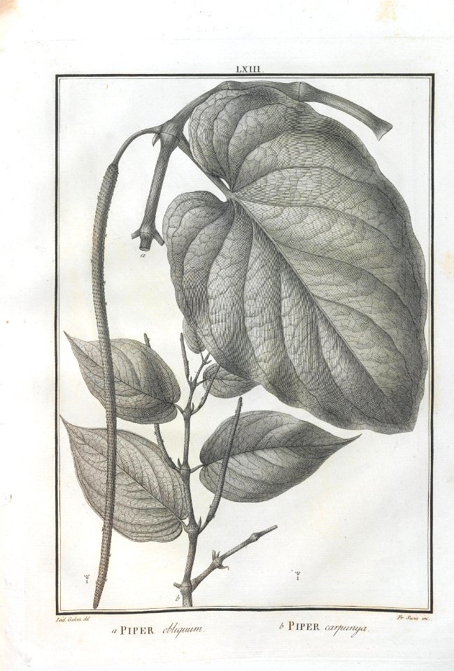 A064100_0216