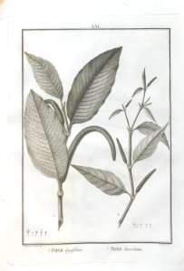 A064100_0212