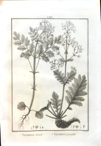 A064100_0228
