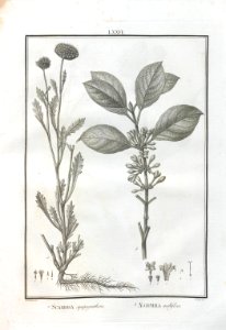 A064100_0242