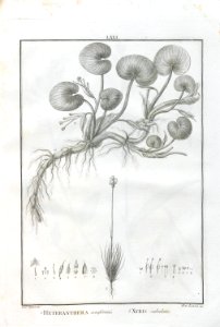 A064100_0232