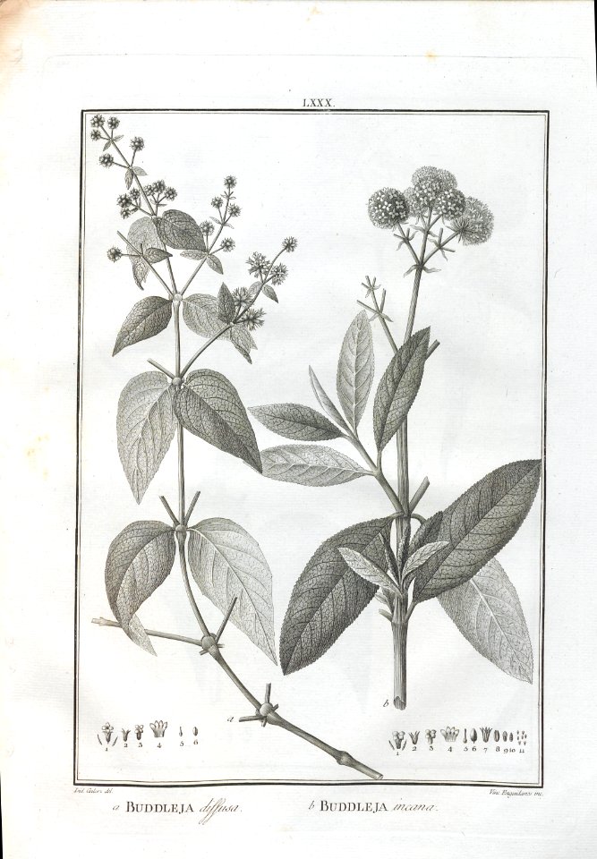 A064100_0250