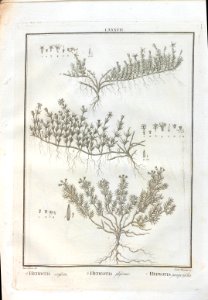 A064100_0264