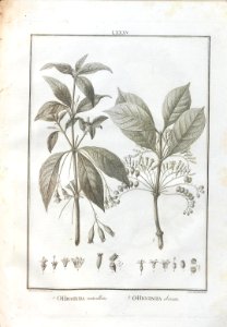 A064100_0260