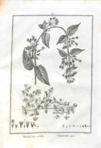 A064100_0270