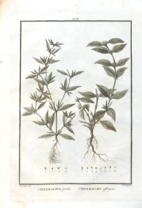 A064100_0274