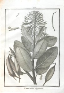 A064100_0280