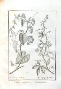 A064100_0290