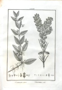 A064100_0258