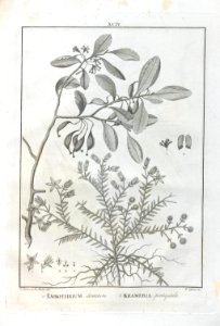 A064100_0278